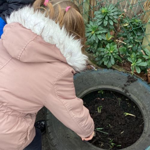 Learning about plants